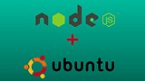 Pasang Node.JS melalui Pengurus Versi Node di Ubuntu 14.04