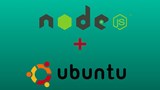 ติดตั้ง Node.JS ผ่าน Node Version Manager บน Ubuntu 14.04