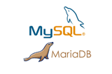 Usando vistas MySQL no Debian 7