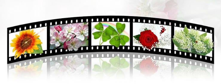 Come scaricare e utilizzare Windows Movie Maker