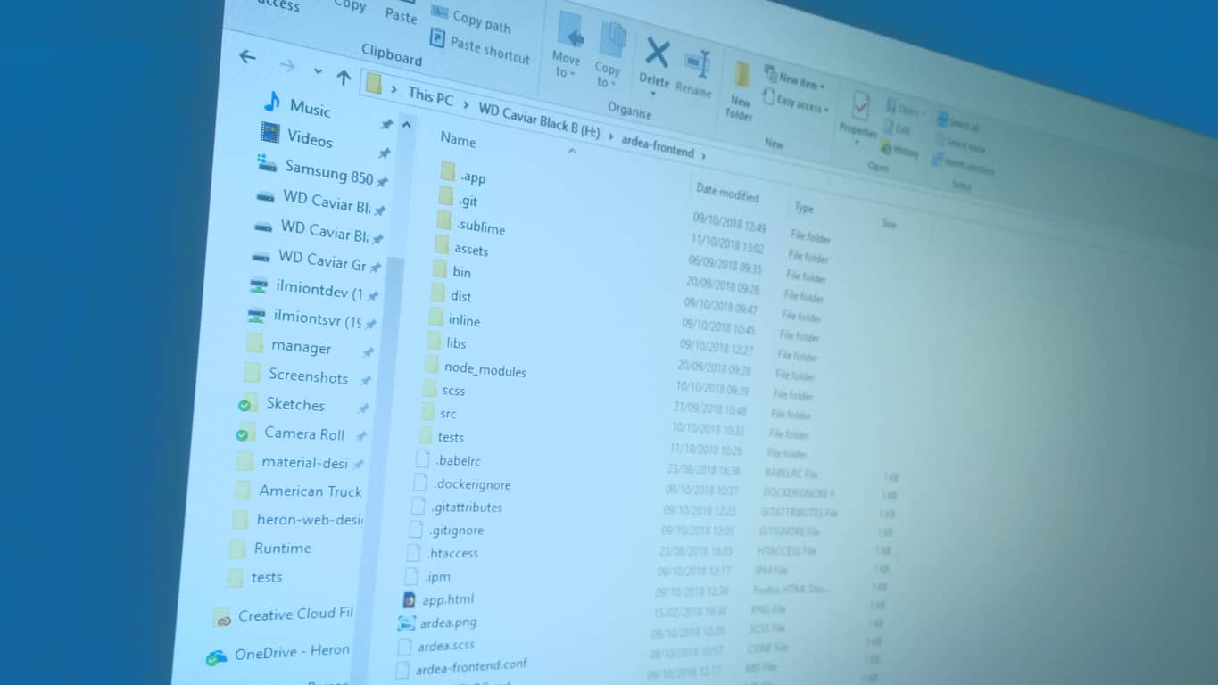 Hướng dẫn: Tất cả về các tệp ẩn trên Windows 10 và cách hiện chúng