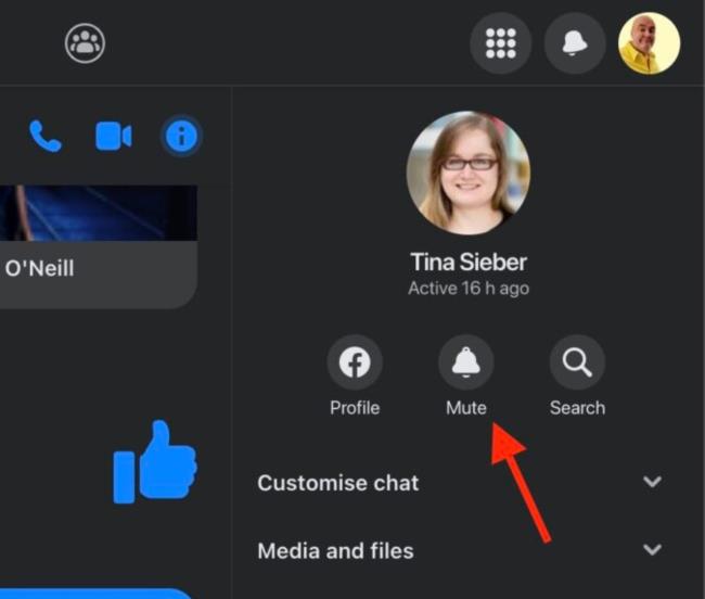 butonul de dezactivare a sunetului de pe desktop facebook messenger