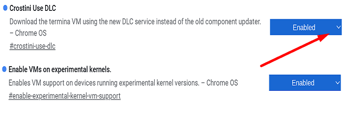 Réparer Chromebook "Erreur d'installation de Linux" bêta