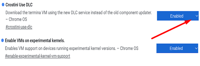 แก้ไข Chromebook “ข้อผิดพลาดในการติดตั้ง Linux” Beta