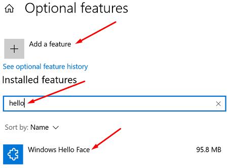 Khắc phục: Máy ảnh không tương thích với Windows Hello Face