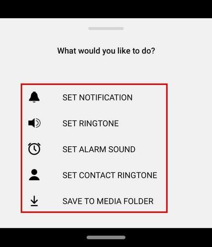 WhatsApp : Comment donner à un contact spécifique un son de notification différent