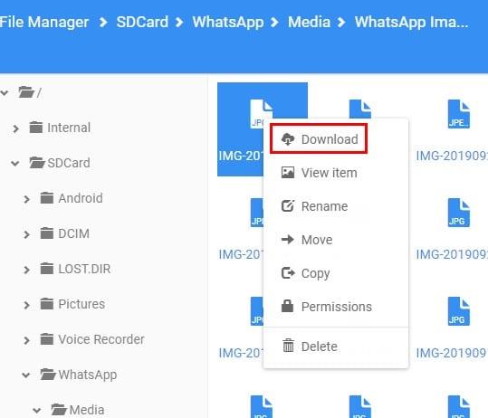 File Manager Pro: como usá-lo