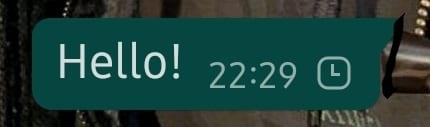 Cosa significano i segni di spunta in WhatsApp?