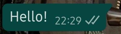 Cosa significano i segni di spunta in WhatsApp?