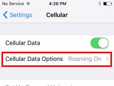 Aktivieren oder deaktivieren Sie Daten-Roaming auf dem iPhone X oder 8