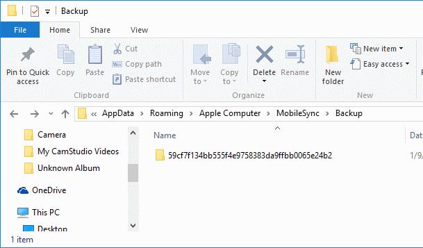 appdata roaming apple computer