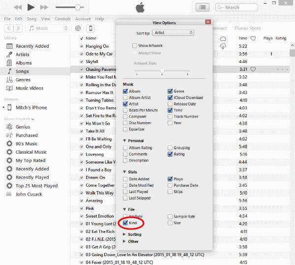 iTunes: come verificare quali brani sono protetti da DRM