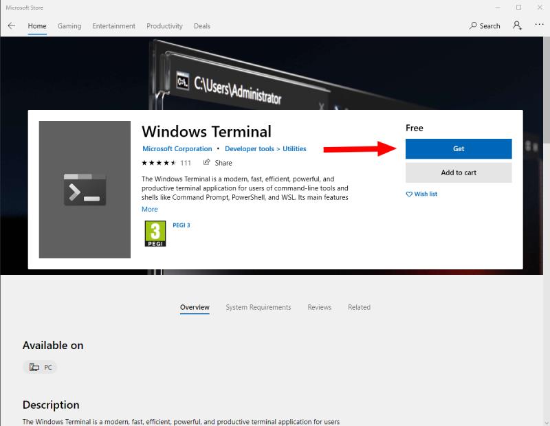 Como instalar o Terminal Windows hoje