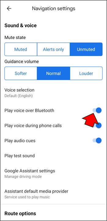 Google Maps Not Talking or Giving Voice Directions? 12 Ways to Fix