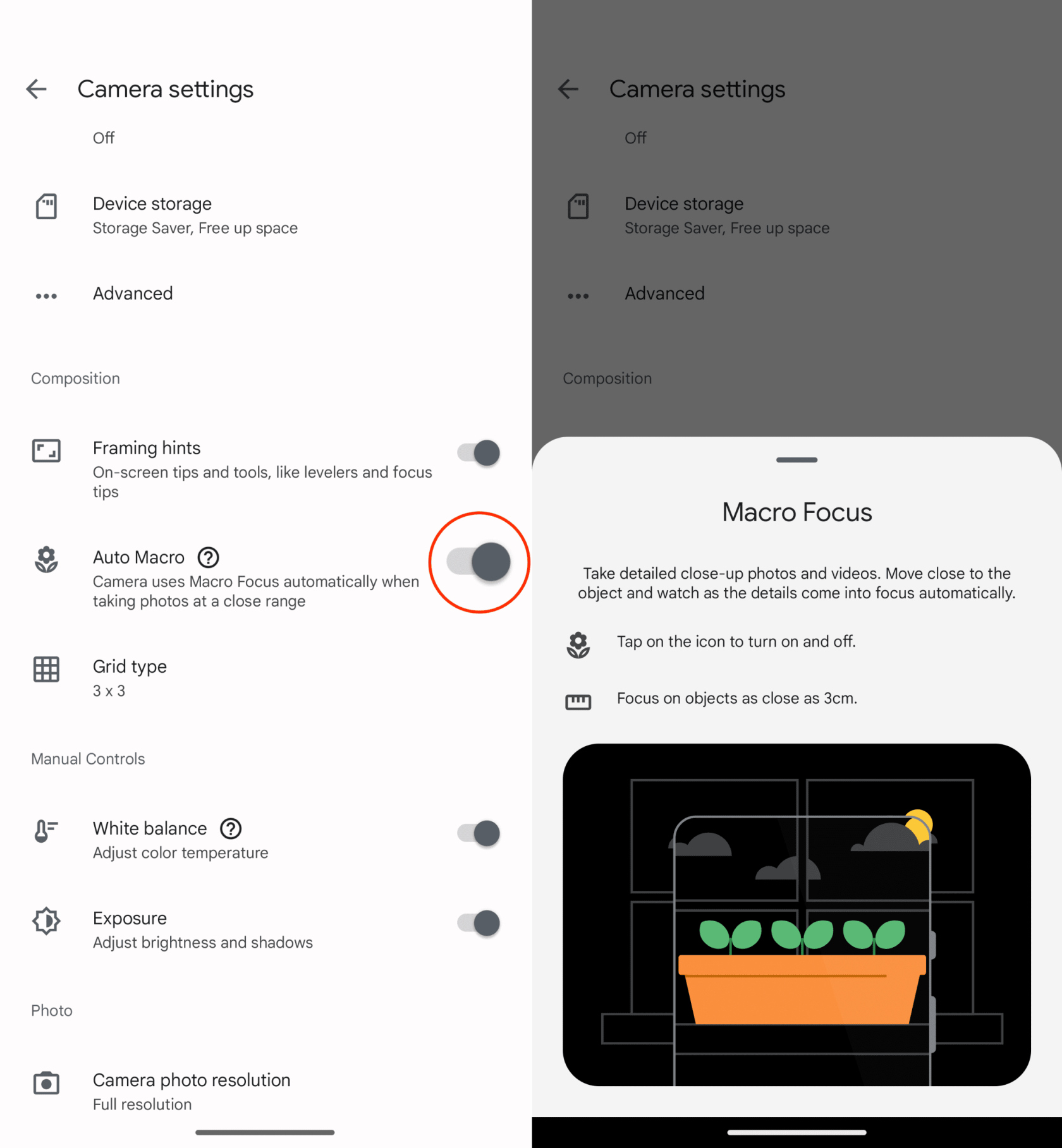 Pixel 7 Pro でマクロ フォーカスを使用する方法