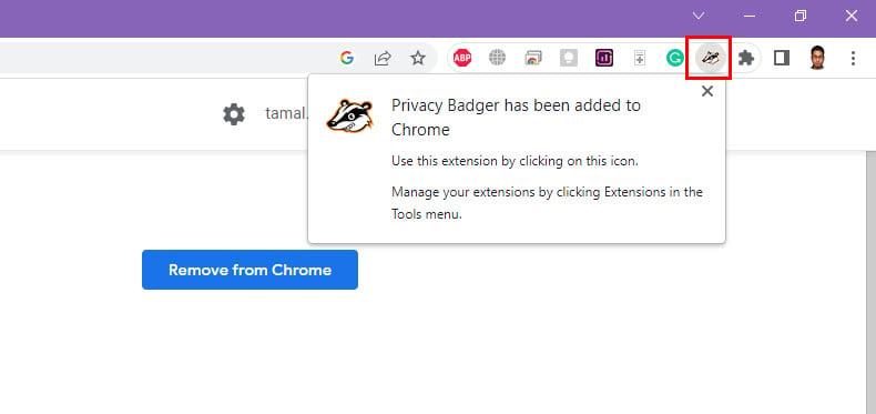 Privacy Badger Chrome 拡張機能を使用して Web トラッカーを停止する方法