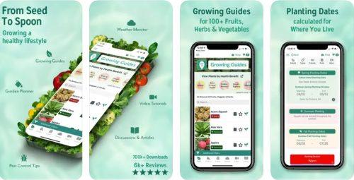 Le 11 migliori app di giardinaggio per iOS e Android nel 2023