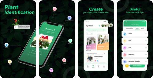 Le 11 migliori app di giardinaggio per iOS e Android nel 2023