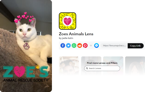 100+ melhores lentes do Snapchat para selfies legais em 2023