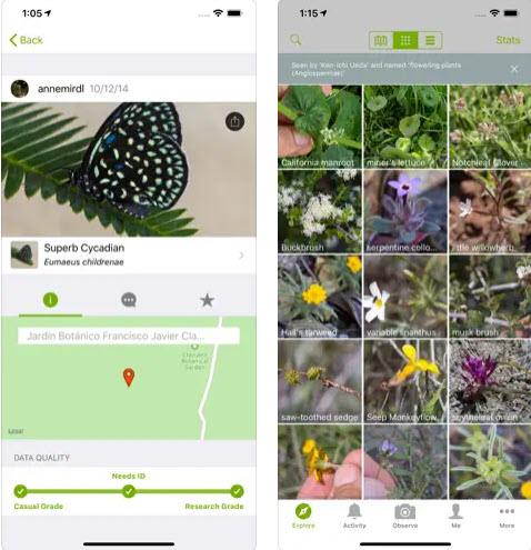 11 beste tuinier-apps voor iOS en Android in 2023