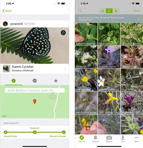 Le 11 migliori app di giardinaggio per iOS e Android nel 2023