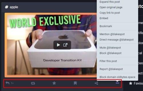 Mastodon: como pesquisar postagens e pessoas