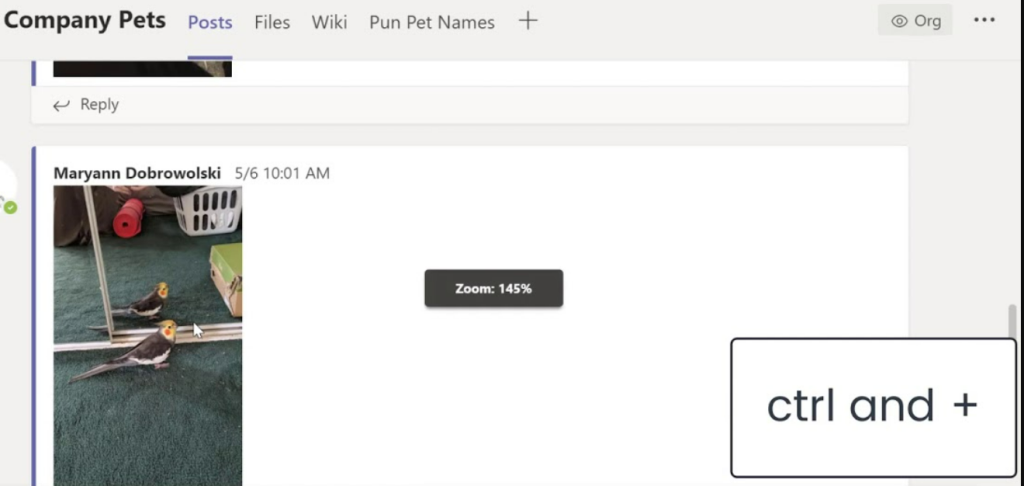 Come creare un sondaggio di Microsoft Teams (2022)