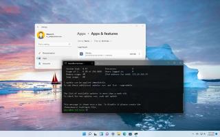 Cómo desinstalar WSL en Windows 11