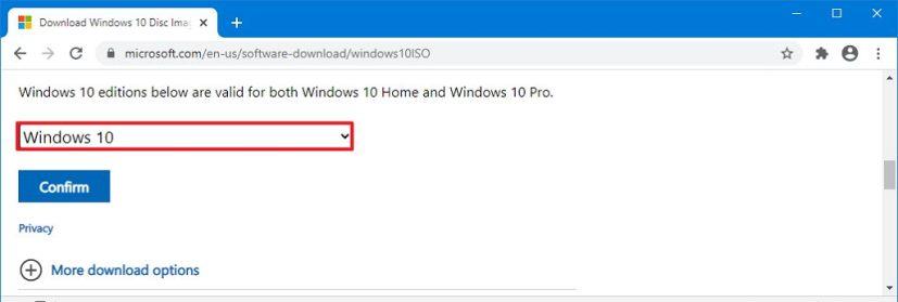 Windows 10 20H2 ISO file direct download without Media Creation Tool