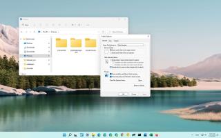 Cum se deschide Opțiunile folderului File Explorer pe Windows 11