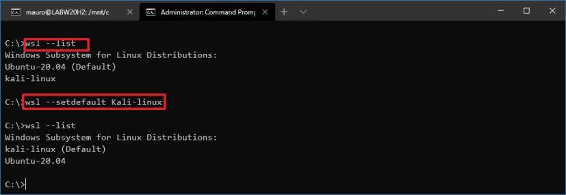 How to set default distro using WSL2 on Windows 10
