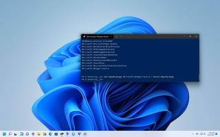 Como redefinir o aplicativo usando o PowerShell no Windows 11