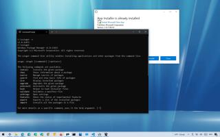 Windows 10da winget nasıl kurulur