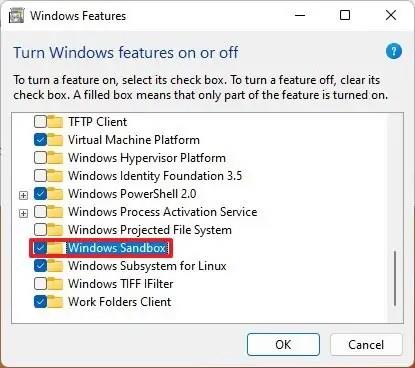 How to install ‘Optional Features’ on Windows 11