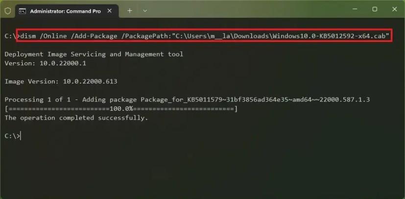 How to install CAB file on Windows 11