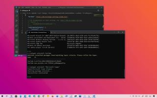 Cómo desinstalar la aplicación con el comando winget en Windows 11, 10