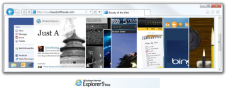 Windows Internet Explorer 9 베타 검토