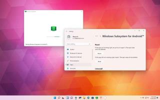 Come ripristinare WSA per risolvere i problemi su Windows 11