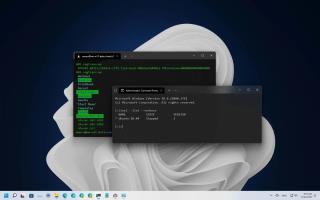 Come controllare la versione WSL su Windows 11