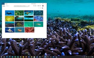 NATIONAAL GEOGRAFISCHE ONDERWATERTHEMA VOOR WINDOWS 10 (DOWNLOAD)