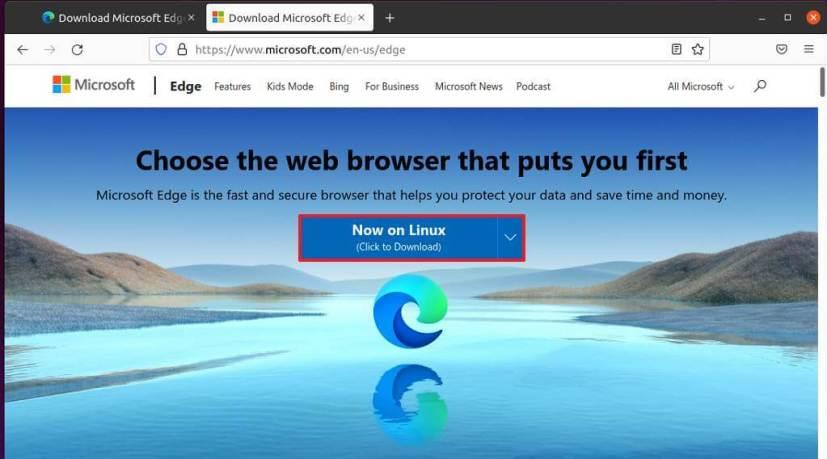 How to install Microsoft Edge on Linux