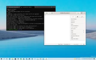 Como instalar aplicativos Linux GUI no Windows 10