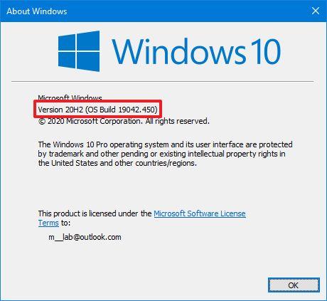 How to check if Windows 10 20H2 is installed on your PC