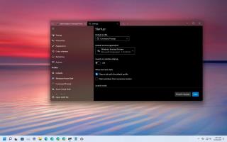 Windows 11de Windows Terminali sistem varsayılanı nasıl yapılır