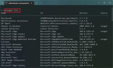 Cara menyahpasang apl secara pukal dengan arahan pada Windows 11