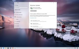 DEVO INSTALLARE WINDOWS 10 20H2 SUL MIO PC? SI, MA DIPENDE.