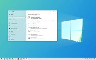 Cosè Windows Feature Experience Pack su Windows 10