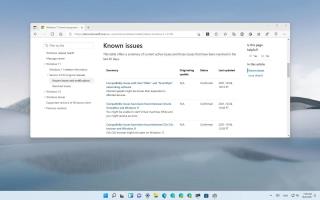 Problemi noti di Windows 11 che bloccano laggiornamento