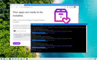 Cum să instalați mai multe aplicații folosind winget cu winstall pe Windows 10