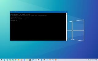 Windows 10의 WSL1에서 WSL2로 업그레이드하는 방법